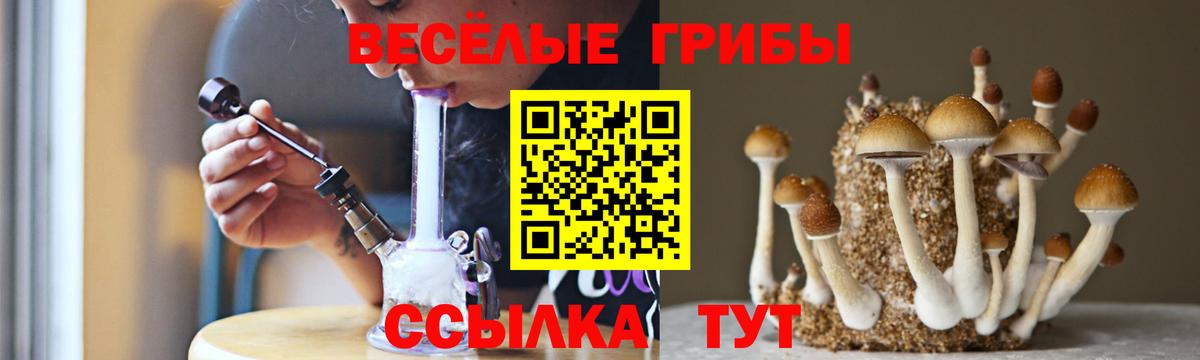 что такое   Вход с VPN  Псилоцибиновые грибы MAGIC MUSHROOMS  Анапа  Галлюциногенные грибы Psilocybine cubensis 